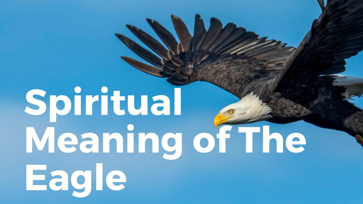 Spiritual meaning of eagle