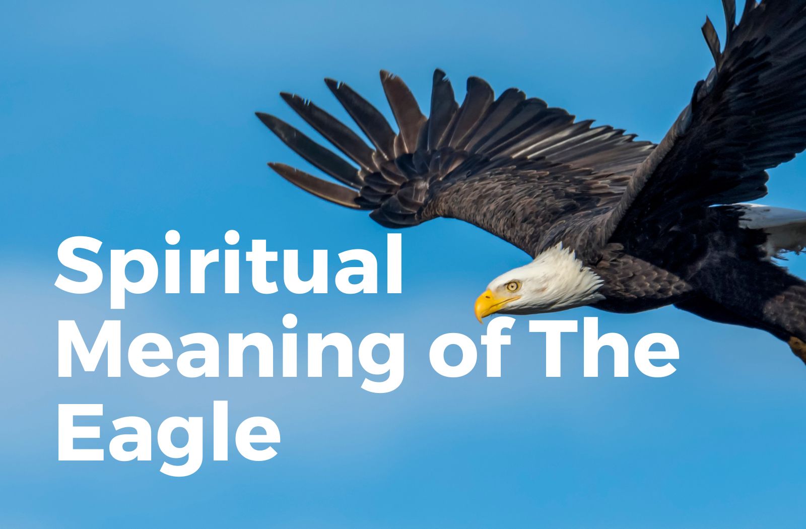 Spiritual meaning of eagle